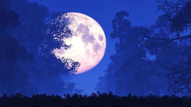 Superluna 2019 EN VIVO: Así se vio la última Luna de Gusano [VIDEO]