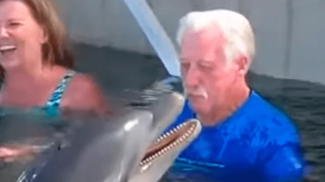 Facebook viral: delfín y anciano protagonizan tierna 'pelea' acuática y enternecen a miles [VIDEO]
