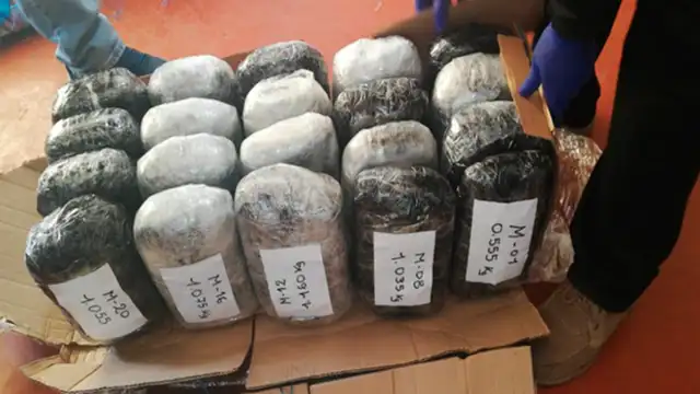 Capturan banda con 41 kilos de marihuana en Tacna