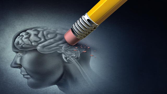 Científicos logran 'borrar' los recuerdos de miedo con estimulación al cerebro