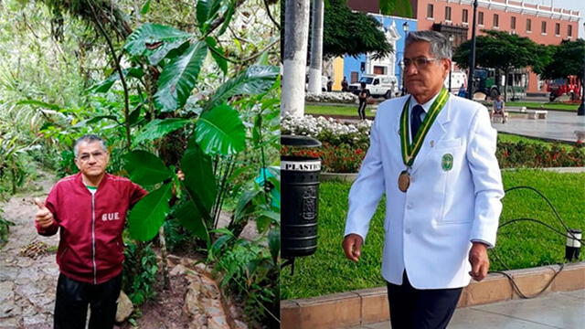 El técnólogo médico, Roque Rodríguez Barrutia, preserva al árbol de la quina desde hace 15 años en Trujillo y otros puntos del Perú.