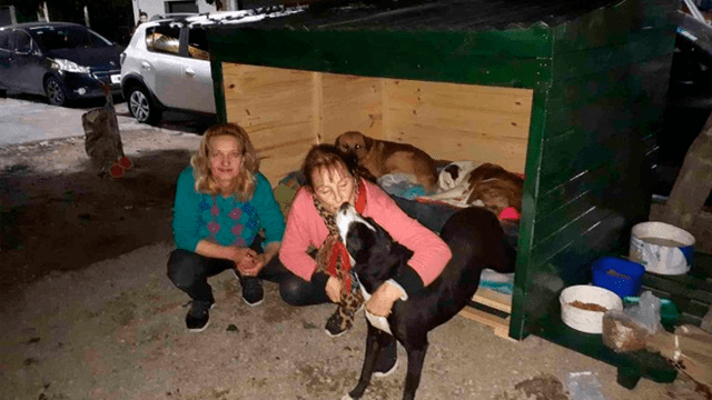 Tres mujeres realizan un noble gesto al ver que unos perros callejeros pasaban frío