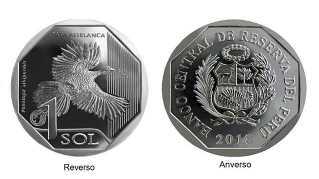 BCR pone en circulación nueva moneda de S/ 1, alusiva a la pava aliblanca [FOTOS]