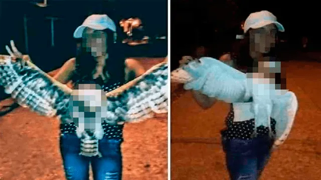 ¡Crueldad animal!: mujer decapita a una lechuza y lo presume en redes como un trofeo [FOTOS]