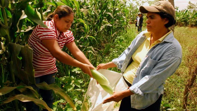 Mujeres rurales