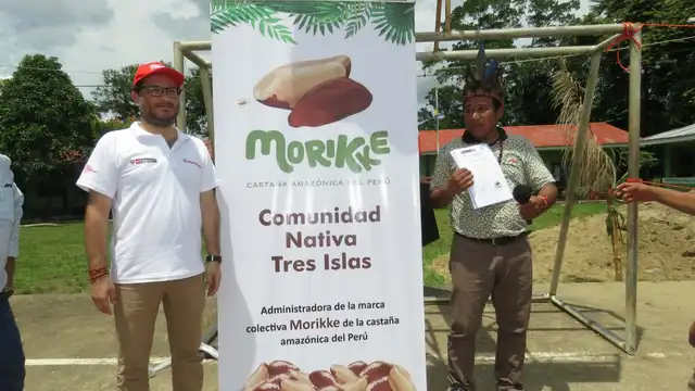 Morikke, la marca de las comunidades nativas de Madre de Dios para exportar castaña al mundo Morikke, la marca de las comunidades nativas de Madre de Dios para exportar castaña al mundo