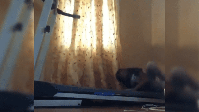YouTube viral: Niño intenta ejercitarse con máquina para correr y todo termina de la peor manera [VIDEO]