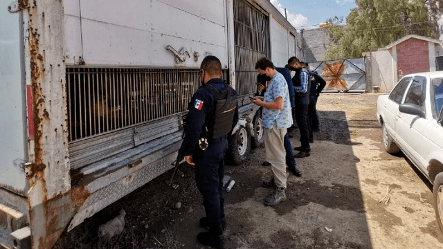 México – maltrato animal – Policía – animales