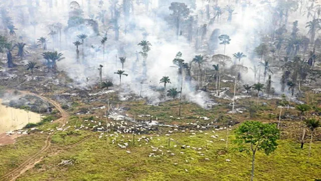 Brasil: ¿el probable triunfo de Jair Bolsonaro constituye una amenaza para la Amazonía?