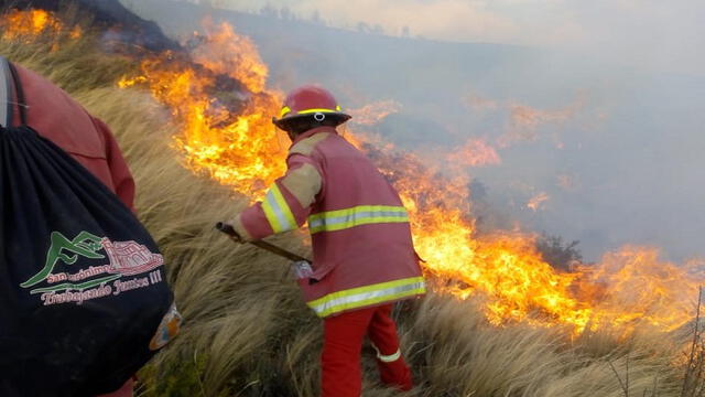 Cusco: Bomberos tratan de controlar incendio forestal cerca a la ciudad [VIDEO]