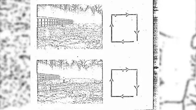 Documentos desclasificados revelan siniestros experimentos que la CIA realizó con perros