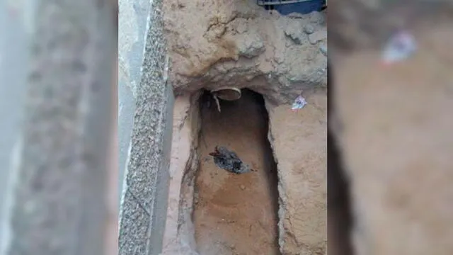 Hombre cavó un túnel para espiar a su expareja y terminó sepultado