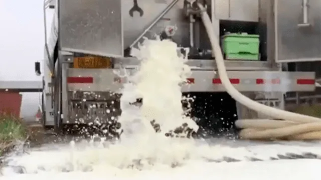 EE. UU.: granjeros arrojan miles de litros de leche a los desagües por la crisis económica ante coronavirus [VIDEO]