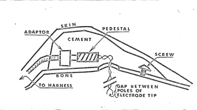 Documentos desclasificados revelan siniestros experimentos que la CIA realizó con perros