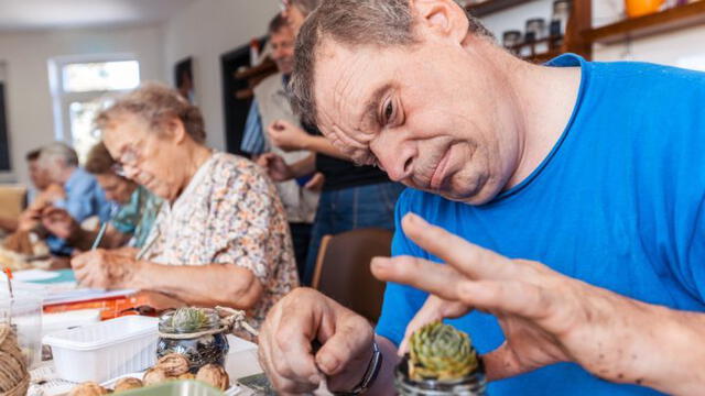 Discapacidad psíquica Discapacidad psíquica