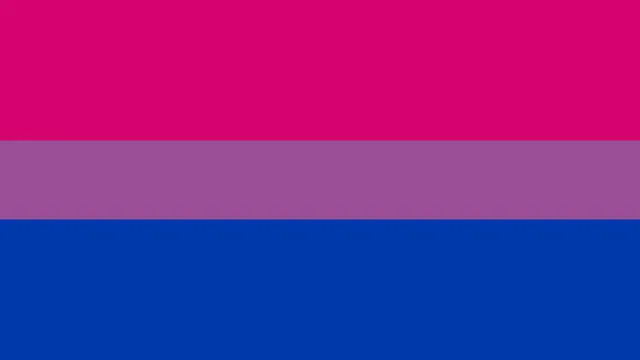 bandera bisexual