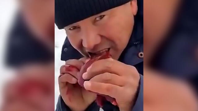  Cazador mata a una manada de lobos y se come el corazón del líder [VIDEO]  