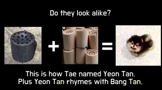 Yeontan, significado de su nombre. Foto: captura YouTube