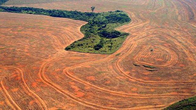 Brasil: ¿el probable triunfo de Jair Bolsonaro constituye una amenaza para la Amazonía?