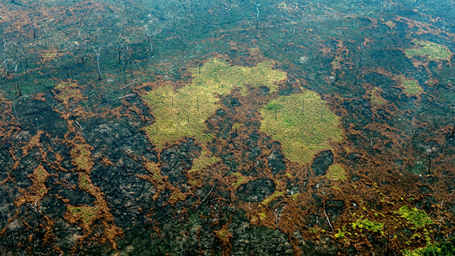 Área afectada por el incendio forestal en la Amazonía. Foto: AFP.