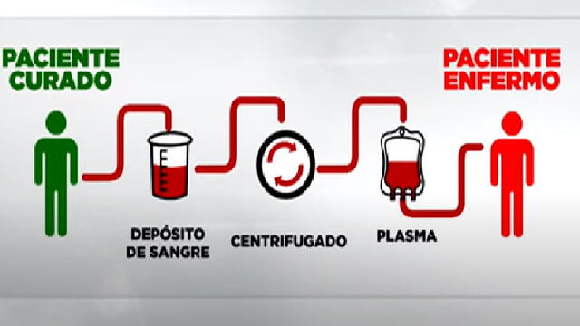 Ruta de la extracción y transfusión del plasma de pacientes curados. Captura Video.