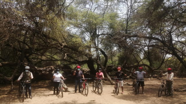 Ciclistas podrán visitar el milenario árbol del Santuario Bosques de Pómac