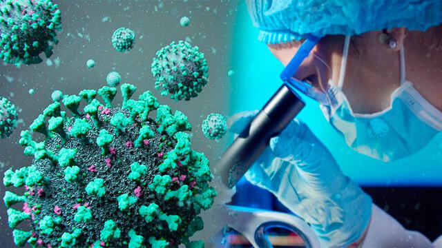 Científicos alemanes analizan a 9 portadores de COVID-19 y comparte la información recabada para mejorar tratamiento durante pandemia.