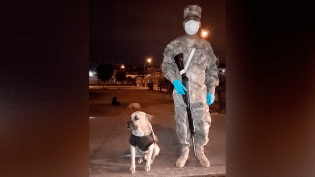 Perro abandonado es el amigo fiel de un soldado en las madrugadas de cuarentena [FOTOS]