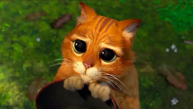 Día Internacional del Gato: 11 gatos más recordados de las series y películas