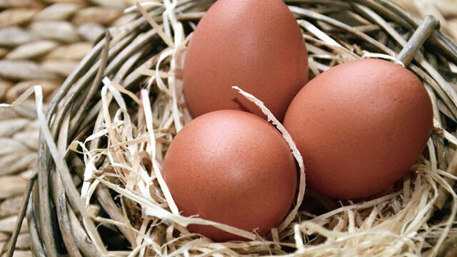 ¿Cuánto tiempo se puede conservar un huevo? Foto: Pixabay.