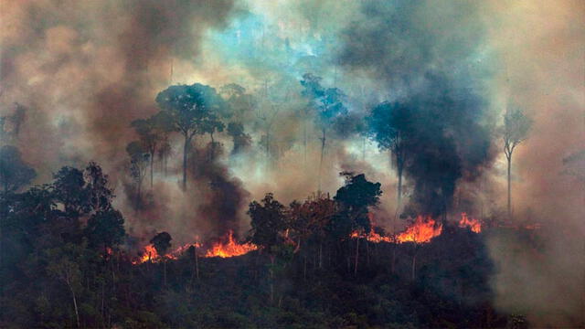 Un fuerte humo cubría la ciudad de Porto Velho en el estado de Rondonia (noroeste). Foto: EFE.