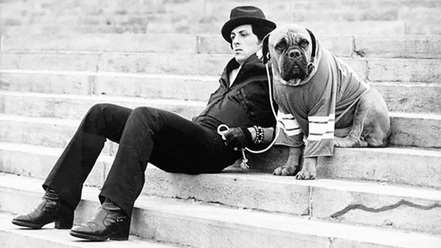 Sylvester Stallone y su perro Butkus. Foto: Difusión