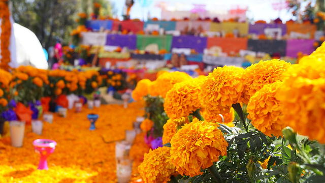 Altar de muertos: ¿cómo decorar, qué lleva y cuál es su significado?