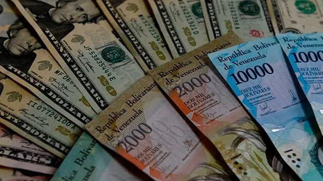 Dólar en Venezuela. Foto: Difusión.