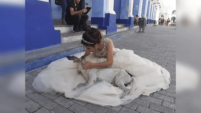 Facebook viral: perro callejero interrumpe sesión de fotos de quinceañera y ella tiene conmovedor gesto [VIDEO]