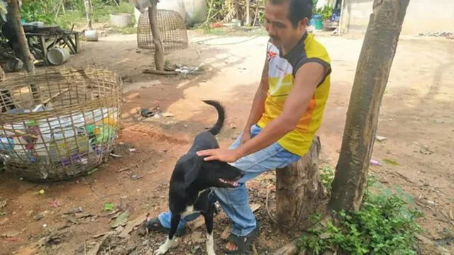 Ping Pong, el cachorro inválido que rescató un bebé enterrado vivo por su madre
