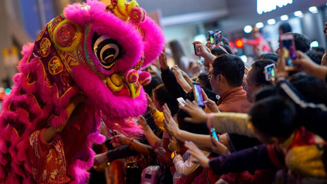 Año Nuevo Chino 2019: las increíbles imágenes del Año del Cerdo [FOTOS]