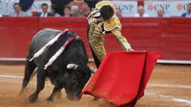 corrida de toros tribunal constitucional tc