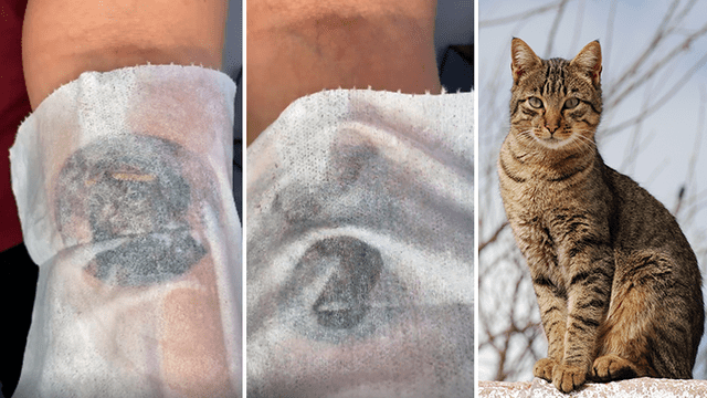 Facebook viral: joven se hace tatuaje inspirado en el rostro de su gato y resultado sorprende a miles [VIDEO]