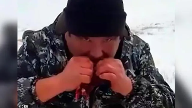  Cazador mata a una manada de lobos y se come el corazón del líder [VIDEO]  