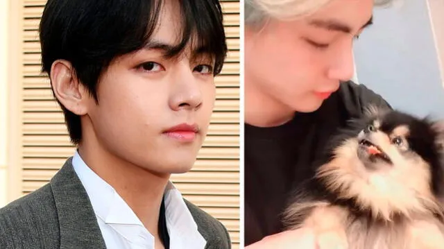 V de la banda de K-Pop BTS, consultó al entrenador de perros Kang Hyung Wook antes de adoptar a su mascota "Yeontan".