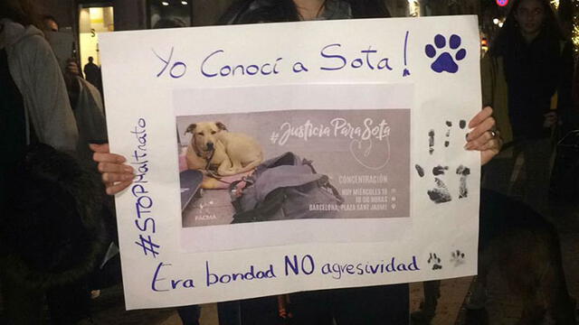 Unas 3500 personas se movilizan en Barcelona para exigir justicia por asesinato de la perrita Sota [VIDEO]