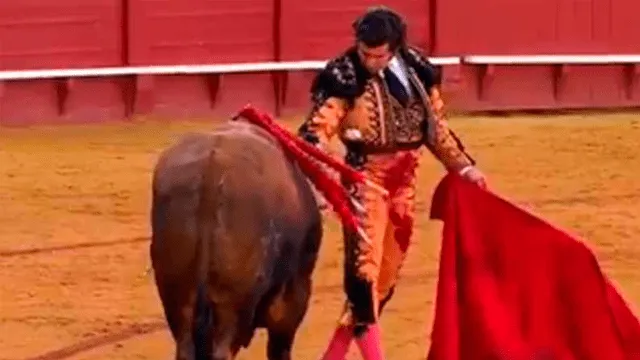 Torero le seca las lágrimas a toro antes de matarlo y enciende la polémica [VIDEO]