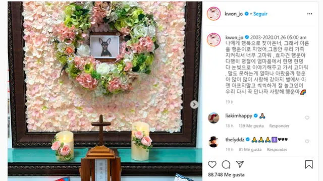2AM: Jo Kwon está de luto tras la pérdida de su mascota