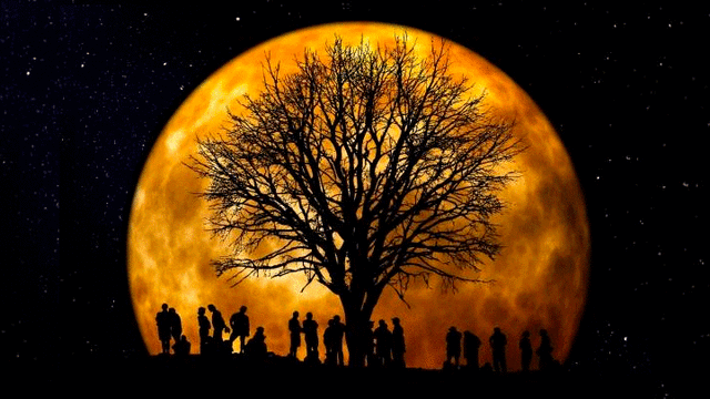 La Luna de cosecha traerá amor a los signos zodiacales. Foto: Difusión