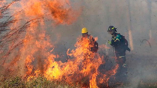 La región boliviana de Santa Cruz ha sido gravemente afectada por los incendios. Foto: AFP.