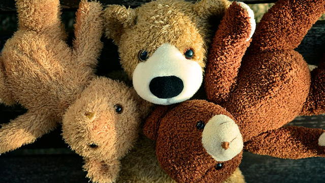 Mujer mató a sus gemelos recién nacidos y escondió sus cuerpos en oso de peluche
