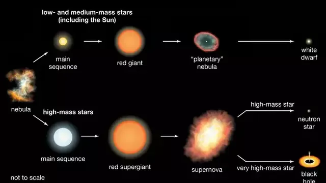 Nacimiento y evolución de las estrellas en el universo. Foto: Enciclopedia Britannica