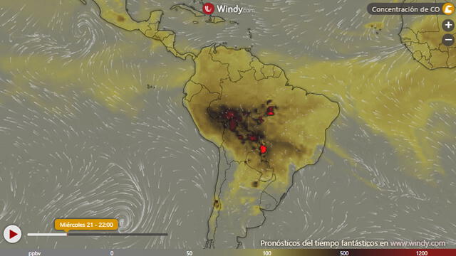 El Amazonas en llamas: conoce al buscador de Internet que planta arboles cada vez que los usas