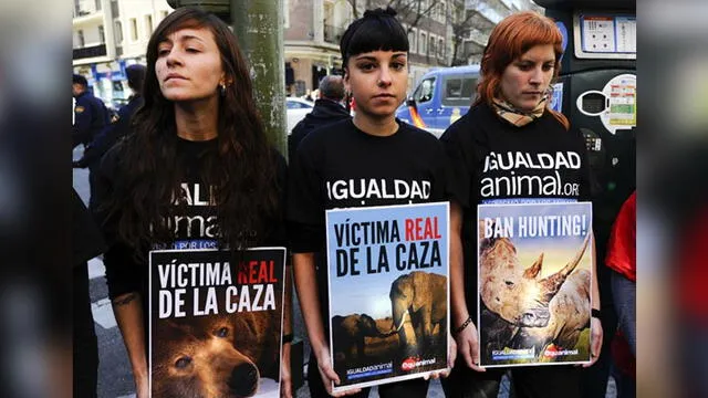 Guarascio afirma que dentro de las ONG animalistas hay celos y disputas absurdas. Foto: RPP Internacional